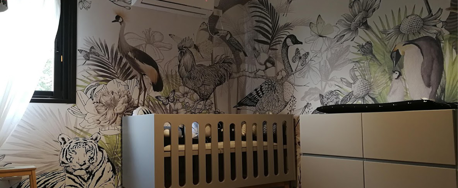 סטודיו אבי אריאלי